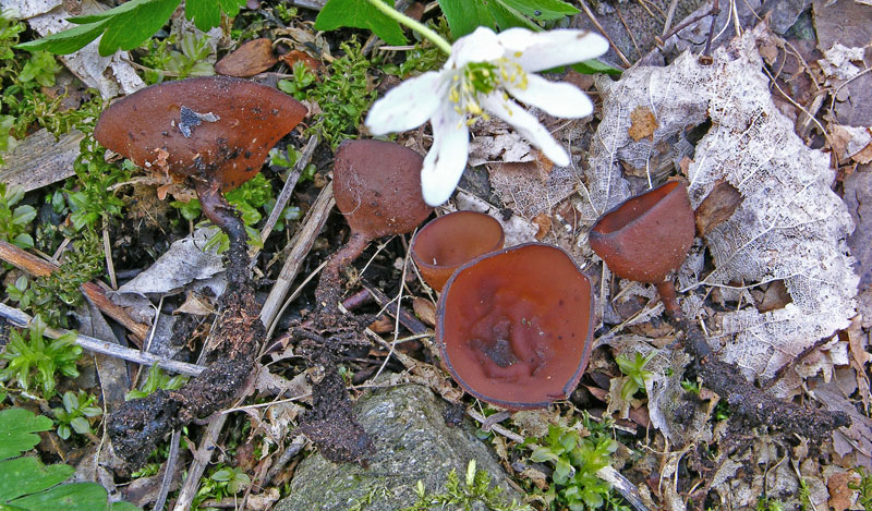 Ritrovamenti, mercoledi 10 aprile.